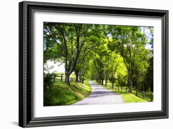 Virginia Byways IV-Alan Hausenflock-Framed Photographic Print