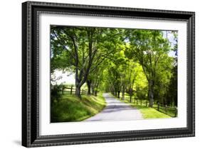 Virginia Byways IV-Alan Hausenflock-Framed Photographic Print