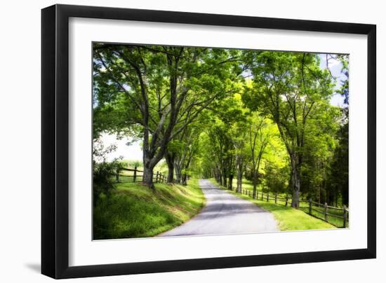 Virginia Byways IV-Alan Hausenflock-Framed Premium Photographic Print