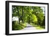 Virginia Byways IV-Alan Hausenflock-Framed Premium Photographic Print