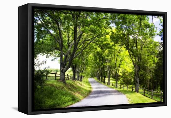 Virginia Byways IV-Alan Hausenflock-Framed Stretched Canvas