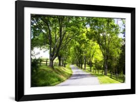 Virginia Byways IV-Alan Hausenflock-Framed Photographic Print