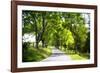 Virginia Byways IV-Alan Hausenflock-Framed Photographic Print