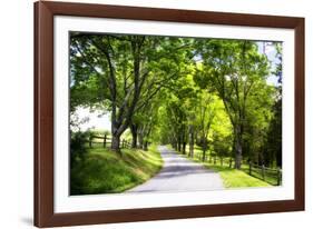 Virginia Byways IV-Alan Hausenflock-Framed Photographic Print