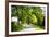 Virginia Byways IV-Alan Hausenflock-Framed Photographic Print