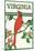 Virginia - Cardinal Perched on a Holly Branch-Lantern Press-Mounted Art Print