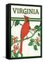 Virginia - Cardinal Perched on a Holly Branch-Lantern Press-Framed Stretched Canvas