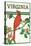 Virginia - Cardinal Perched on a Holly Branch-Lantern Press-Stretched Canvas
