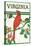 Virginia - Cardinal Perched on a Holly Branch-Lantern Press-Stretched Canvas