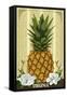 Virginia - Colonial Pineapple-Lantern Press-Framed Stretched Canvas