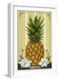 Virginia - Colonial Pineapple-Lantern Press-Framed Art Print