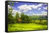 Virginia Foothills I-Alan Hausenflock-Framed Stretched Canvas