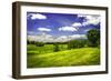 Virginia Foothills II-Alan Hausenflock-Framed Photographic Print