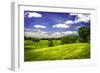 Virginia Foothills II-Alan Hausenflock-Framed Photographic Print