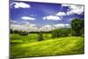 Virginia Foothills II-Alan Hausenflock-Mounted Photographic Print