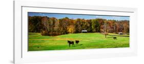 Virginia Horse Farm I-Alan Hausenflock-Framed Photo