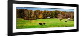 Virginia Horse Farm I-Alan Hausenflock-Framed Photo