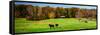 Virginia Horse Farm I-Alan Hausenflock-Framed Stretched Canvas