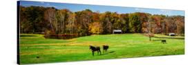 Virginia Horse Farm I-Alan Hausenflock-Stretched Canvas