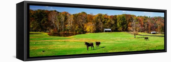 Virginia Horse Farm I-Alan Hausenflock-Framed Stretched Canvas