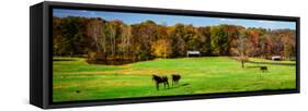 Virginia Horse Farm I-Alan Hausenflock-Framed Stretched Canvas