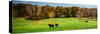 Virginia Horse Farm I-Alan Hausenflock-Stretched Canvas