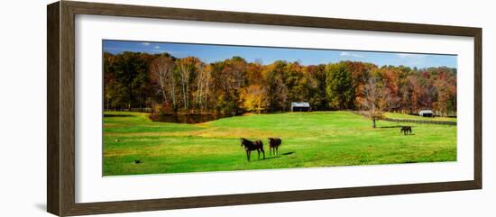 Virginia Horse Farm I-Alan Hausenflock-Framed Photo