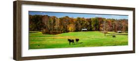 Virginia Horse Farm I-Alan Hausenflock-Framed Photo