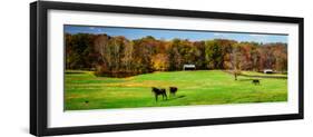 Virginia Horse Farm I-Alan Hausenflock-Framed Photo