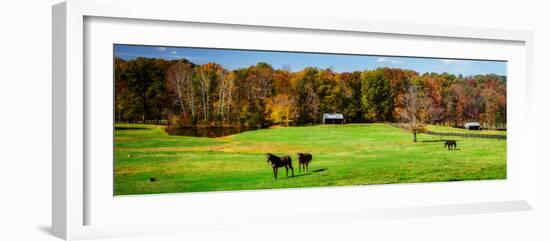 Virginia Horse Farm I-Alan Hausenflock-Framed Photo