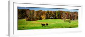 Virginia Horse Farm I-Alan Hausenflock-Framed Photo