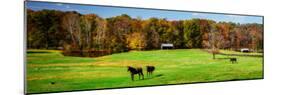 Virginia Horse Farm I-Alan Hausenflock-Mounted Photo