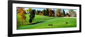 Virginia Horse Farm II-Alan Hausenflock-Framed Photographic Print