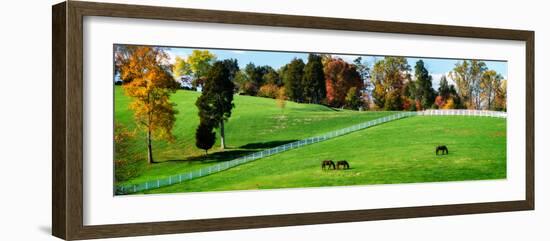 Virginia Horse Farm II-Alan Hausenflock-Framed Photo