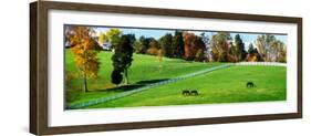 Virginia Horse Farm II-Alan Hausenflock-Framed Photo