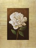 Hydrangea-Virginia Huntington-Art Print