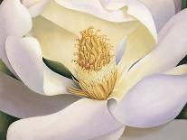 Magnolia-Virginia Huntington-Art Print