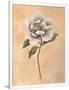 Gramercy White