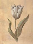 Fleur de Magnolia-Virginia Huntington-Art Print