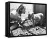 Virginia McKenna - Born Free-null-Framed Stretched Canvas