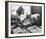 Virginia McKenna - Born Free-null-Framed Photo