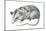 Virginia Opossum (Didelphis Virginiana), Marsupial, Mammals-Encyclopaedia Britannica-Mounted Poster