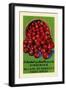 Virginia's Finest Apples-Curt Teich & Company-Framed Art Print