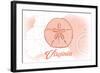 Virginia - Sand Dollar - Coral - Coastal Icon-Lantern Press-Framed Art Print