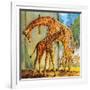 Virginia the Giraffe-McConnell-Framed Giclee Print