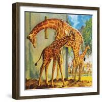 Virginia the Giraffe-McConnell-Framed Giclee Print