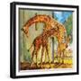 Virginia the Giraffe-McConnell-Framed Giclee Print