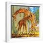 Virginia the Giraffe-McConnell-Framed Premium Giclee Print