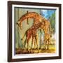 Virginia the Giraffe-McConnell-Framed Giclee Print