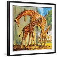 Virginia the Giraffe-McConnell-Framed Giclee Print